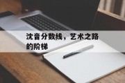 沈音分数线，艺术之路的阶梯