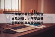 小学毕业暑假作业的含义及分析，小学毕业暑假作业的意义及其解析
