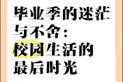 毕业后回学校什么都变了(毕业后再回学校)