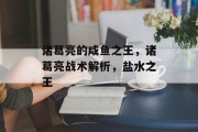 诸葛亮的咸鱼之王，诸葛亮战术解析，盐水之王