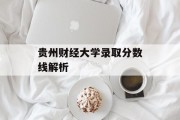 贵州财经大学录取分数线解析
