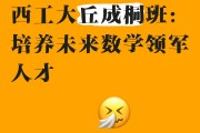 数学毕业后能做什么工作(数学毕业就业)