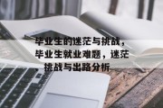 毕业生的迷茫与挑战，毕业生就业难题，迷茫、挑战与出路分析