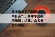 高中毕业后的新团组织叫什么？，高中毕业新团组织，组建、命名与意义解析
