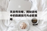 天命传攻略，揭秘游戏中的隐藏技巧与必胜策略
