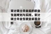 审计硕士毕业后的职业生涯规划与实践，审计硕士毕业生就业前景分析