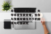 毕业后的就业难题，大学毕业生就业难，生存与发展双重压力下的困境与对策研究