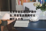大学毕业后回拉萨做什么_毕业生去西藏可以做什么工作