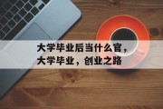 大学毕业后当什么官，大学毕业，创业之路