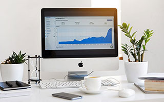 人流量大的网站揭秘，流量背后的秘密与运营策略