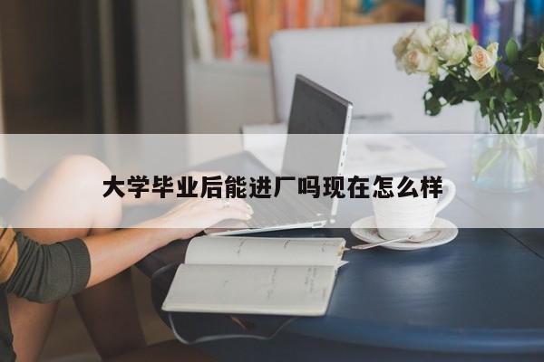 大学毕业后能进厂吗现在怎么样