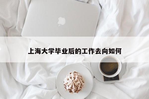 上海大学毕业后的工作去向如何