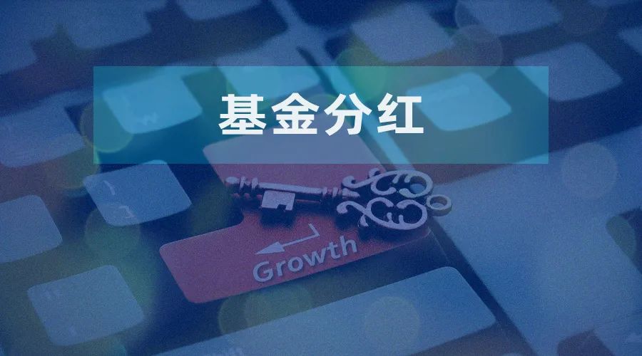 红利再投如何为复利增长提供“燃料”?