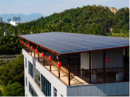 持续探索ESG新模式,TCL“光伏+”为产业兴农注入绿色动力