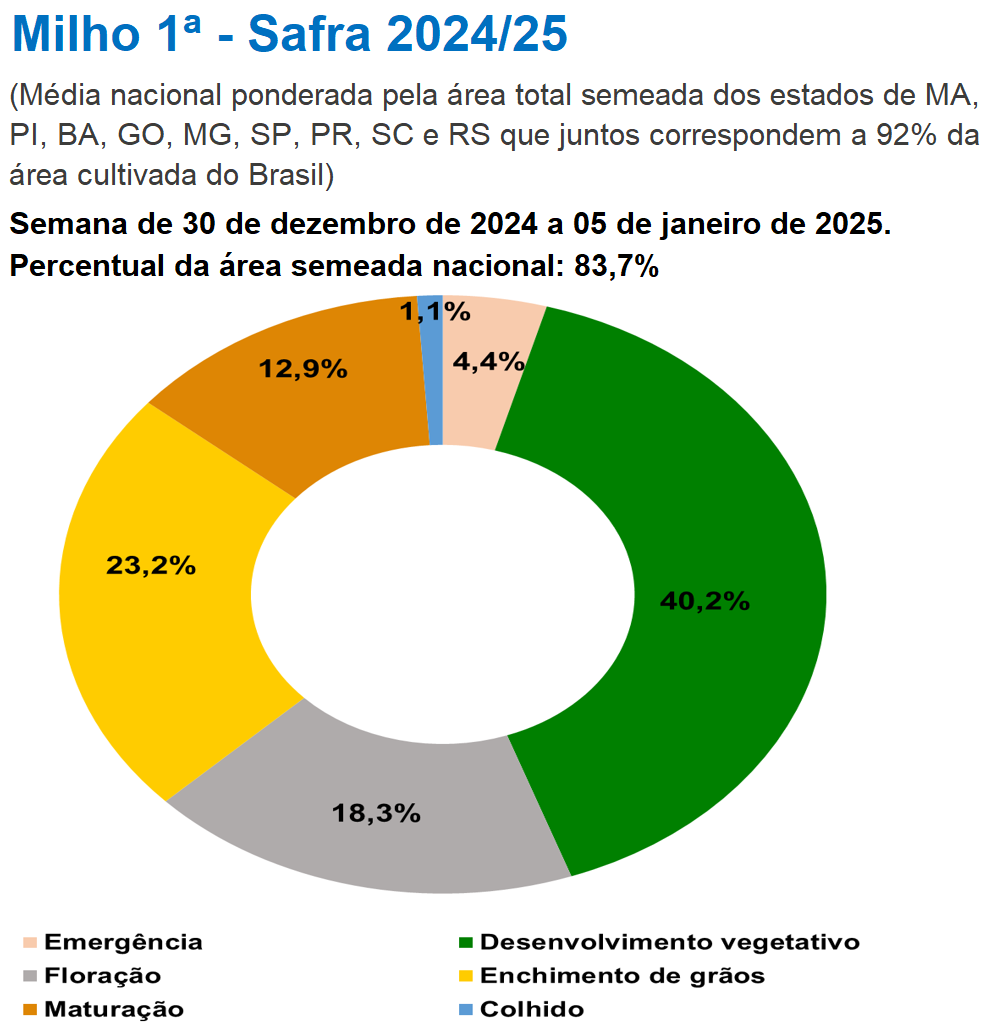玉米:增储再次开启