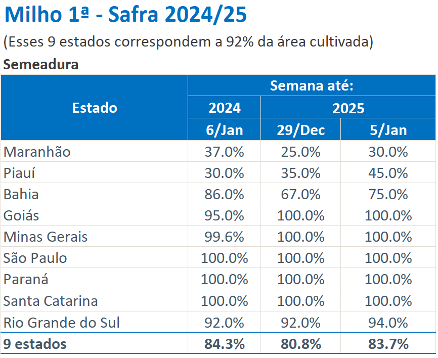 玉米:增储再次开启