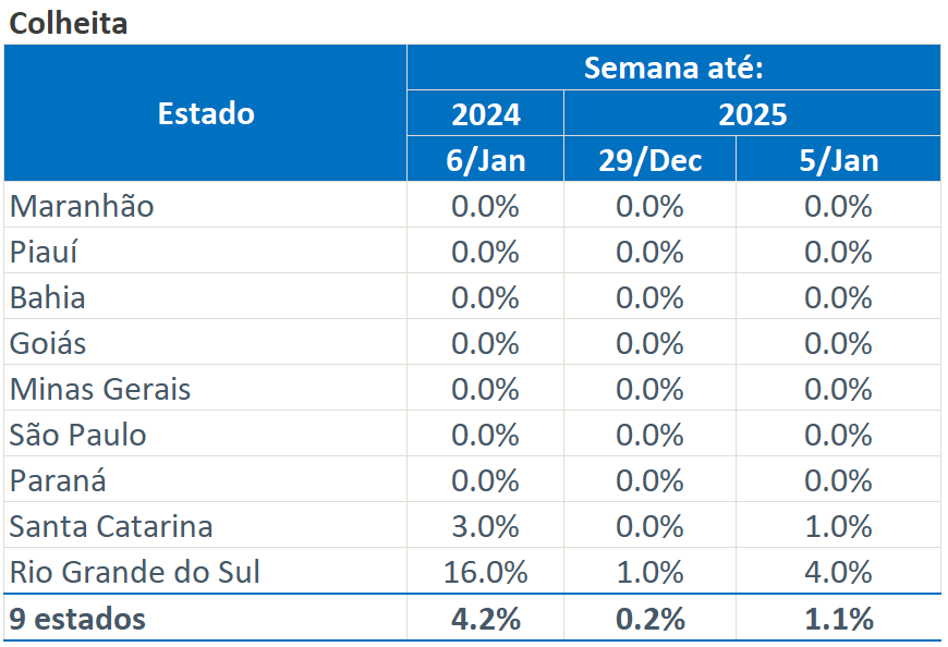 玉米:增储再次开启