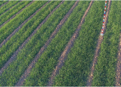 中央气象台:全国农业气象月报(2025年01月03日)