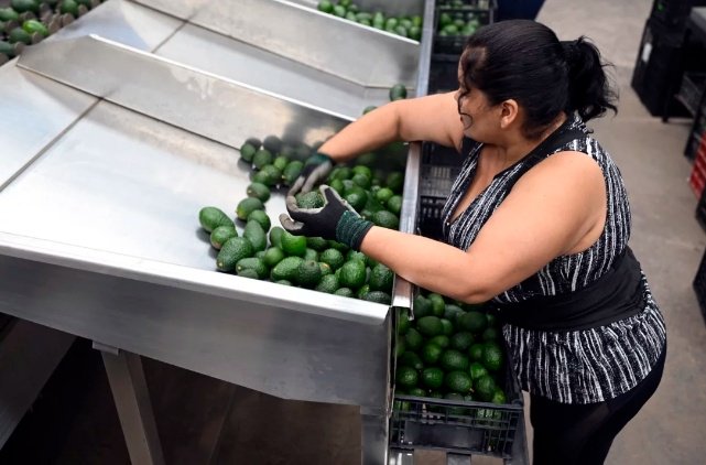 墨西哥各界人士批评美加征关税:终将导致“两败俱伤”