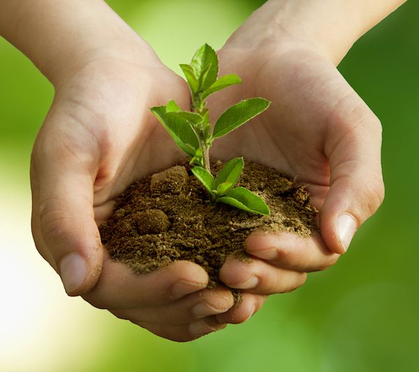 最高100%!广州国资创投容亏率刷新纪录,打开国资容错“大门”