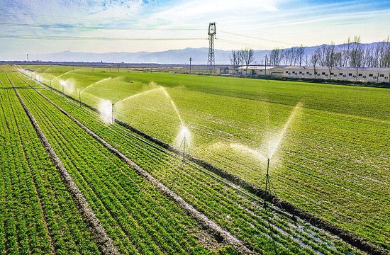 首提“农业新质生产力” 一号文件释放了哪些新信号?