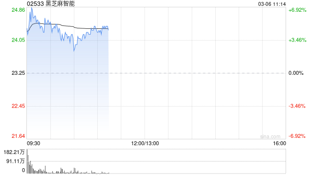黑芝麻智能早盘高开逾6% 公司预计2024年度实现扭亏为盈