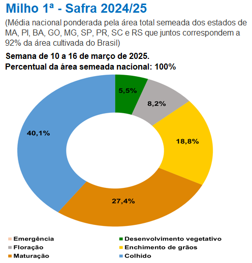 玉米：供给上量 盘面承压