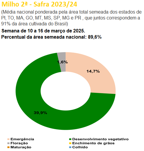 玉米：供给上量 盘面承压