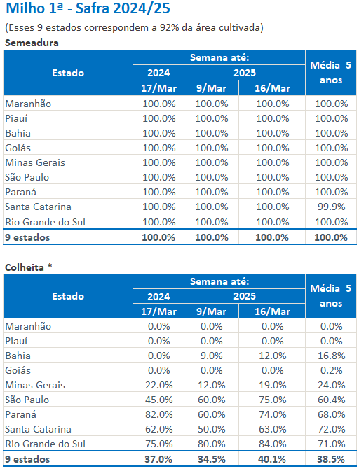 玉米：供给上量 盘面承压