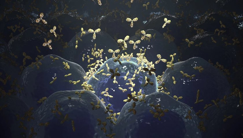 出海不顺的信达生物利润转正,单靠国内市场能维持吗?