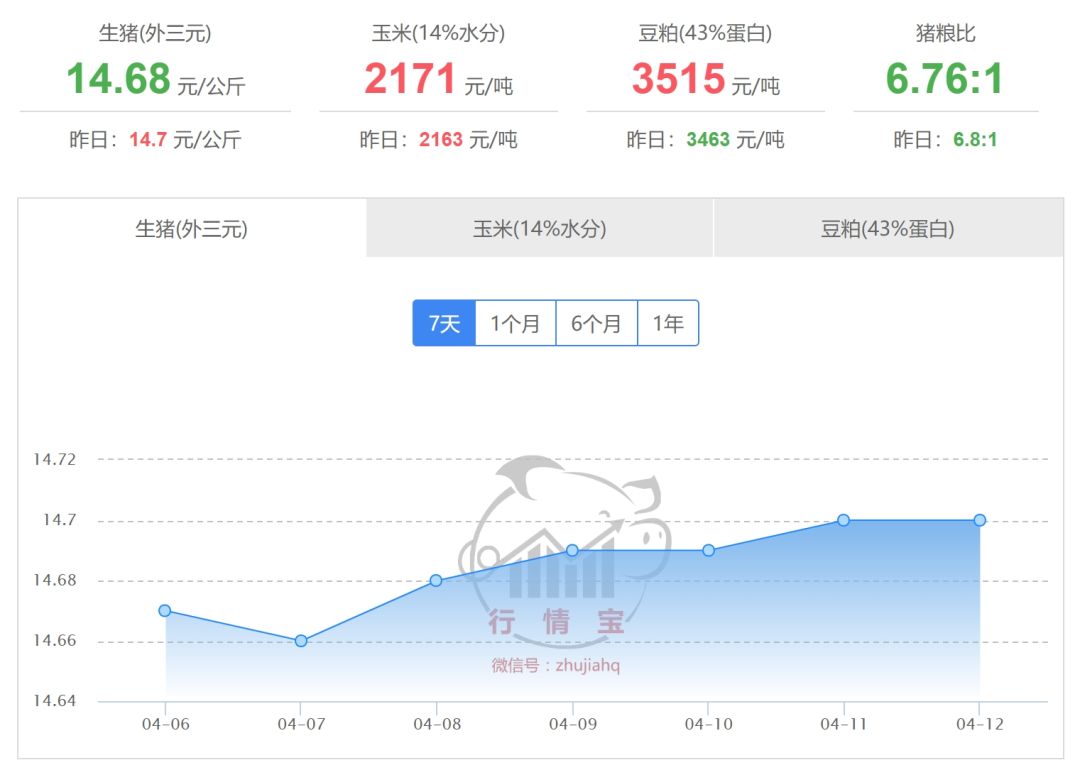 2025年4月13日国内生猪价格一览