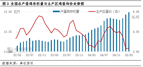“蛋”起云涌：美国“蛋荒”对中国鸡蛋市场影响几何？