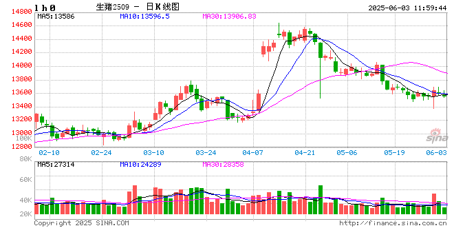 白条猪肉：供应压力依旧 短期河南猪肉价格或偏弱调整