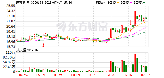 硅宝科技：截至2024年12月31日公司获得授权专利共计458件