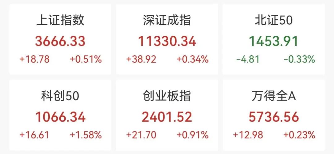 “沸了”!刚刚,涨停潮