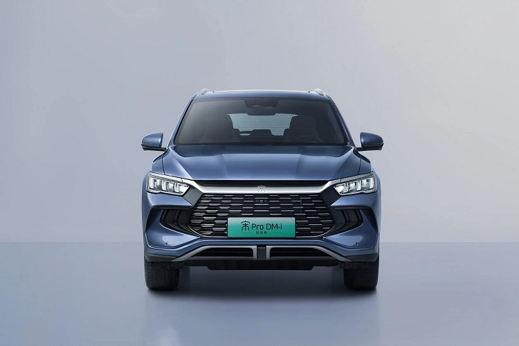 比亚迪到账201.87万元，自媒体“龙猪”被强制执行