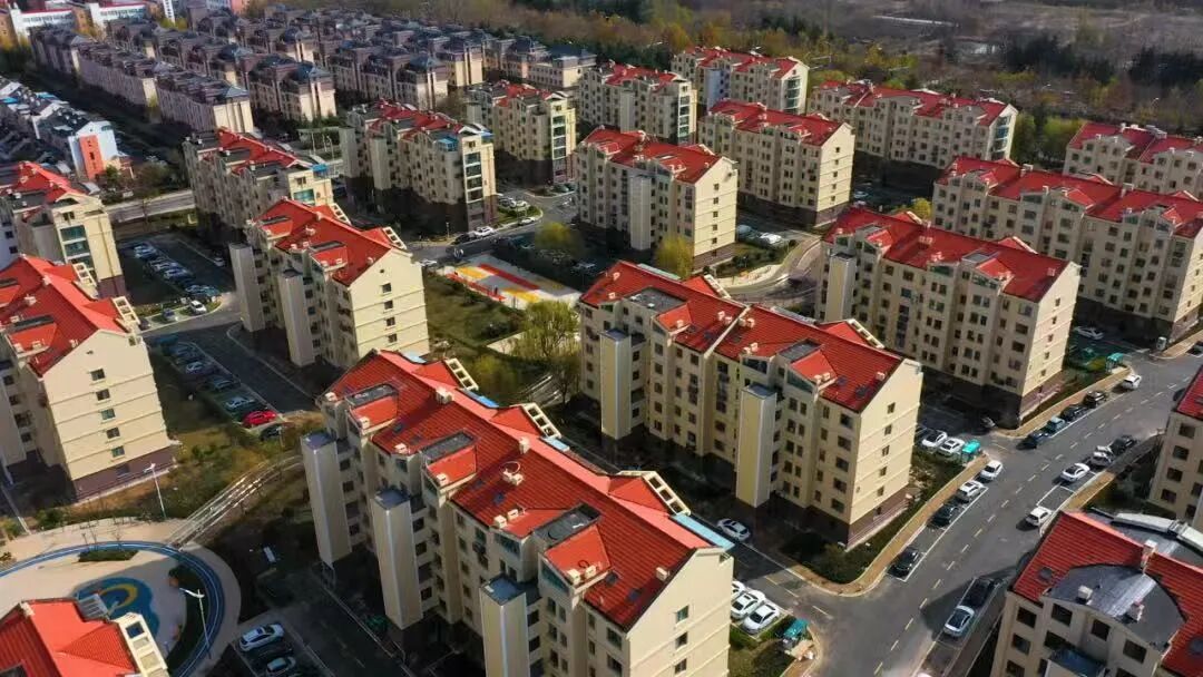 市委书记为何去了这些企业？“强龙头”要当好山东“压舱石”