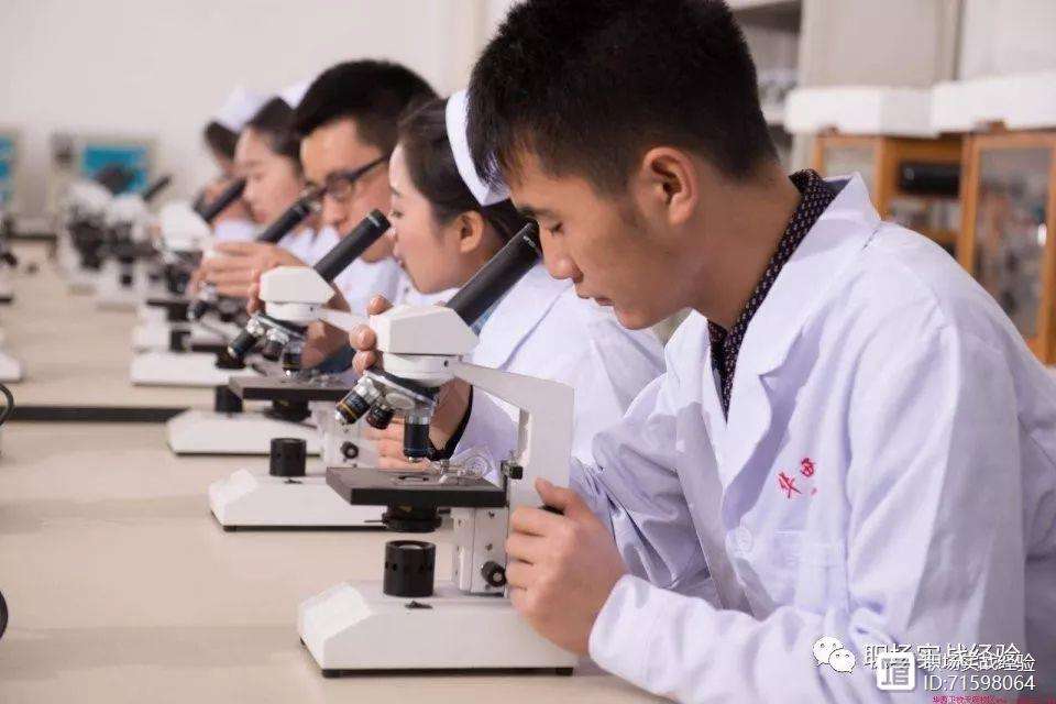 男生毕业后大家都做什么工作(男生毕业后大家都做什么工作呢)