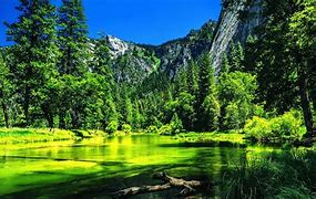 学习生物毕业后能做什么工作(生物毕业生毕业出路) 学习生物毕业后能做什么工作(生物毕业生毕业出路)