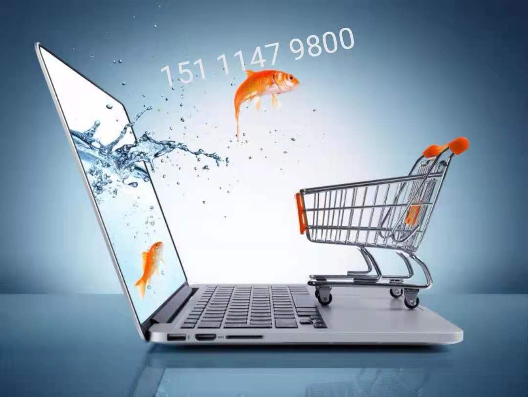 电商毕业后做什么工作比较好(电商专业毕业的你们都在做什么啊) 电商毕业后做什么工作比较好(电商专业毕业的你们都在做什么啊)