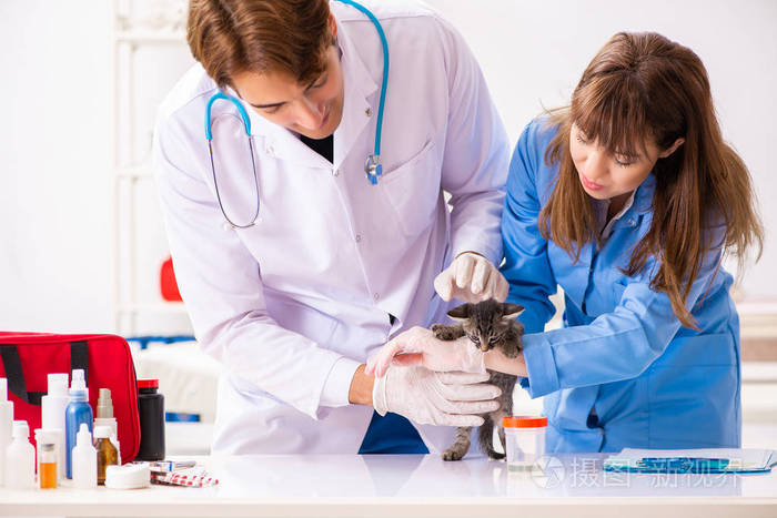 动物医学毕业后做什么工作呢(动物医学毕业后做什么工作呢知乎) 动物医学毕业后做什么工作呢(动物医学毕业后做什么工作呢知乎)