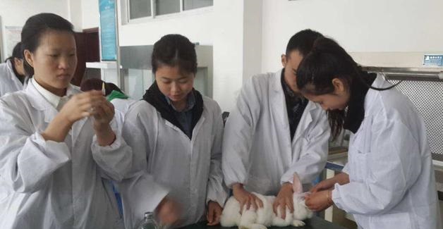 畜牧毕业好找工作吗(畜牧专业毕业进什么公司)