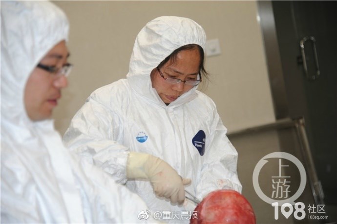 法医毕业好找工作(法医学毕业好找工作吗) 法医毕业好找工作(法医学毕业好找工作吗)