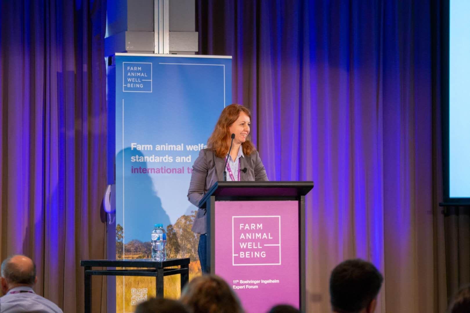 意大利博士毕业好找工作吗(意大利博士毕业好找工作吗现在) 意大利博士毕业好找工作吗(意大利博士毕业好找工作吗现在)