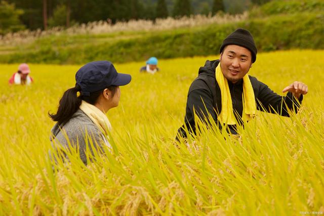 大学毕业后农村发展(农村大学生毕业后) 大学毕业后农村发展(农村大学生毕业后)