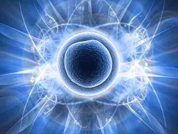 试管成功后什么时候毕业(试管婴儿什么时候可以毕业) 试管成功后什么时候毕业(试管婴儿什么时候可以毕业)