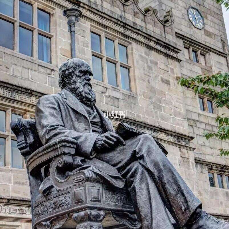 达尔文毕业后在干什么(达尔文毕业后在干什么工作) 达尔文毕业后在干什么(达尔文毕业后在干什么工作)