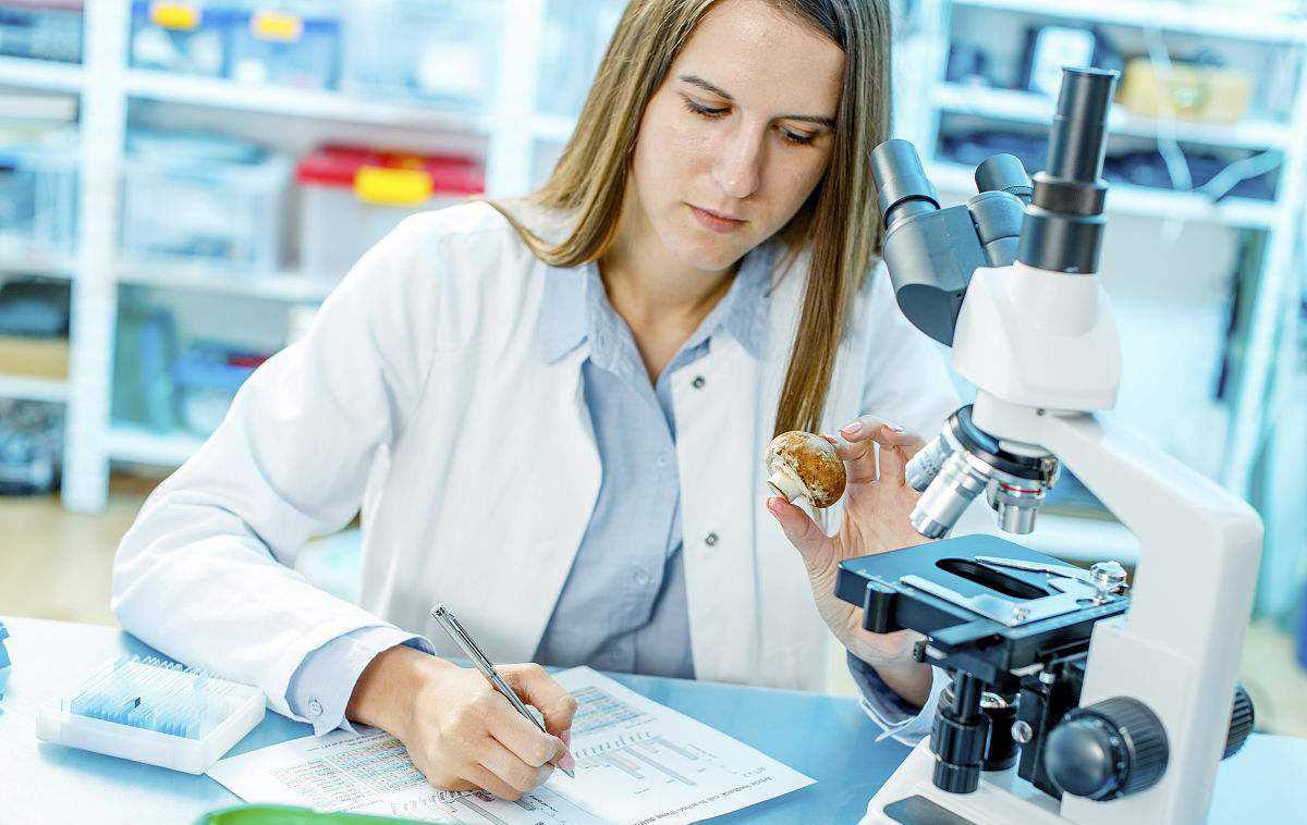 生物工程毕业后干什么(生物工程毕业后干什么工作好)