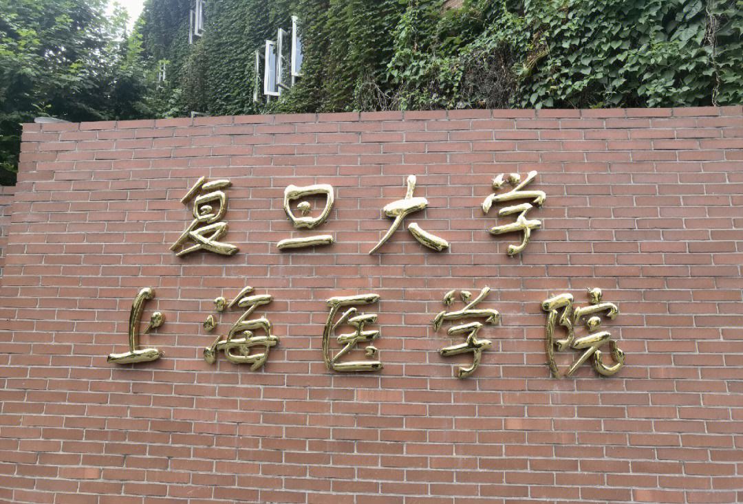 复旦大学上海医学院毕业后(复旦大学医学毕业能在上海什么医院)