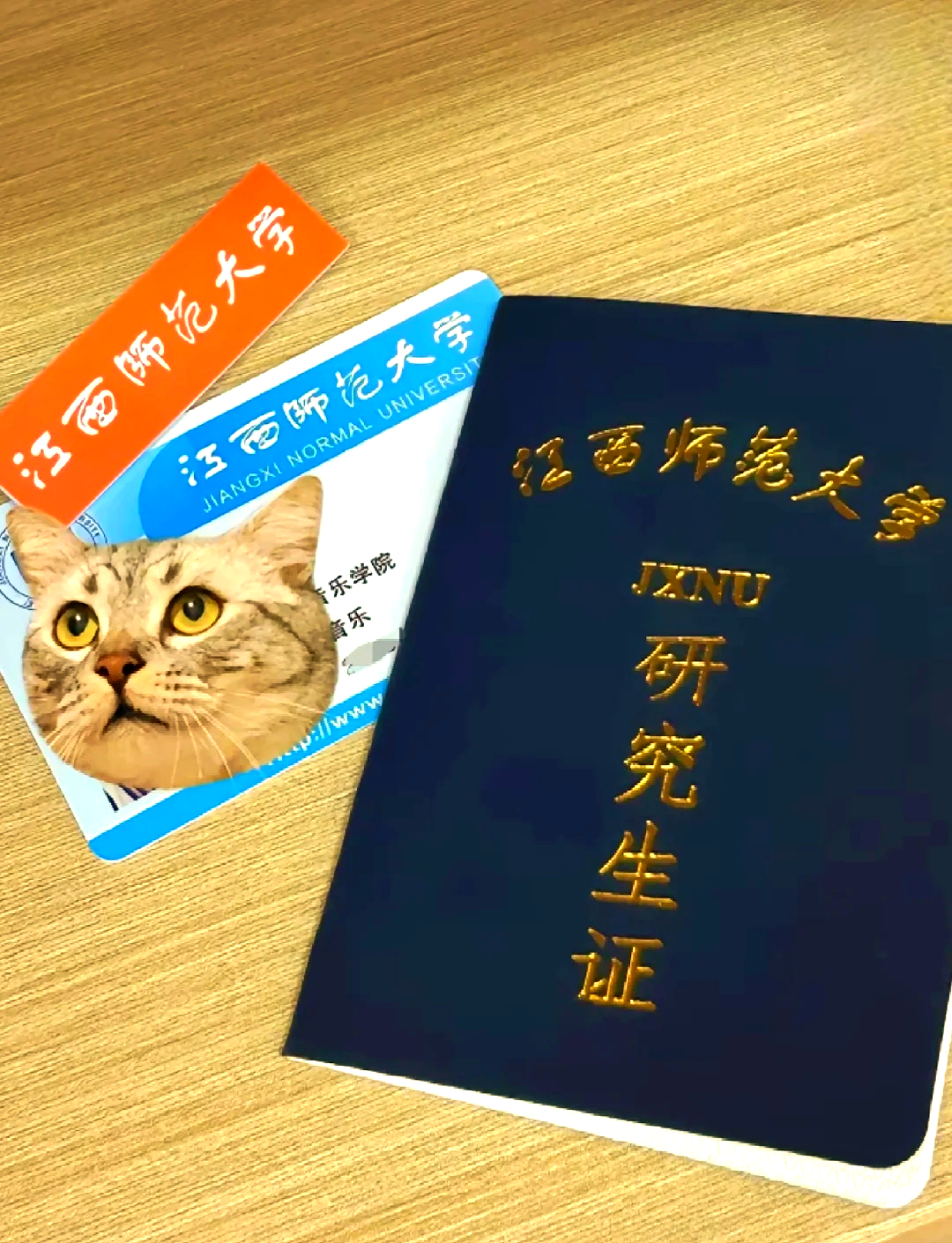 师范大学毕业后怎么办(师范大学毕业后怎么找工作)